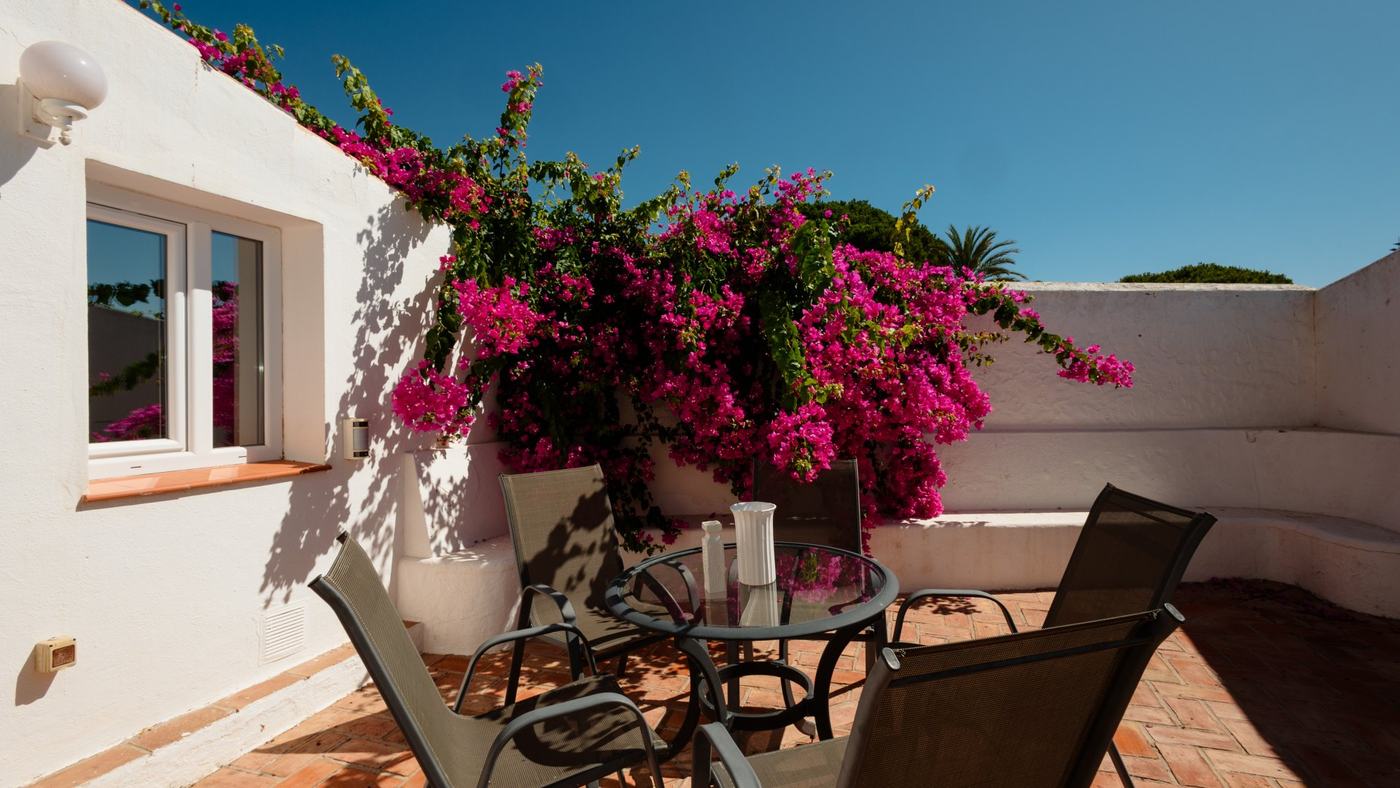 Terraza con buganvilla